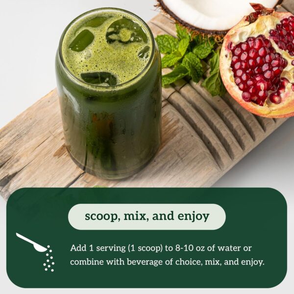 Organifi Daily Greens - Everyday Nutrition and Support - Image 2